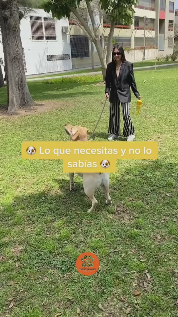 Bebedero Multifuncional